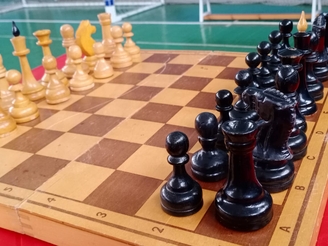 Чемпионат по шахматам Брянской области